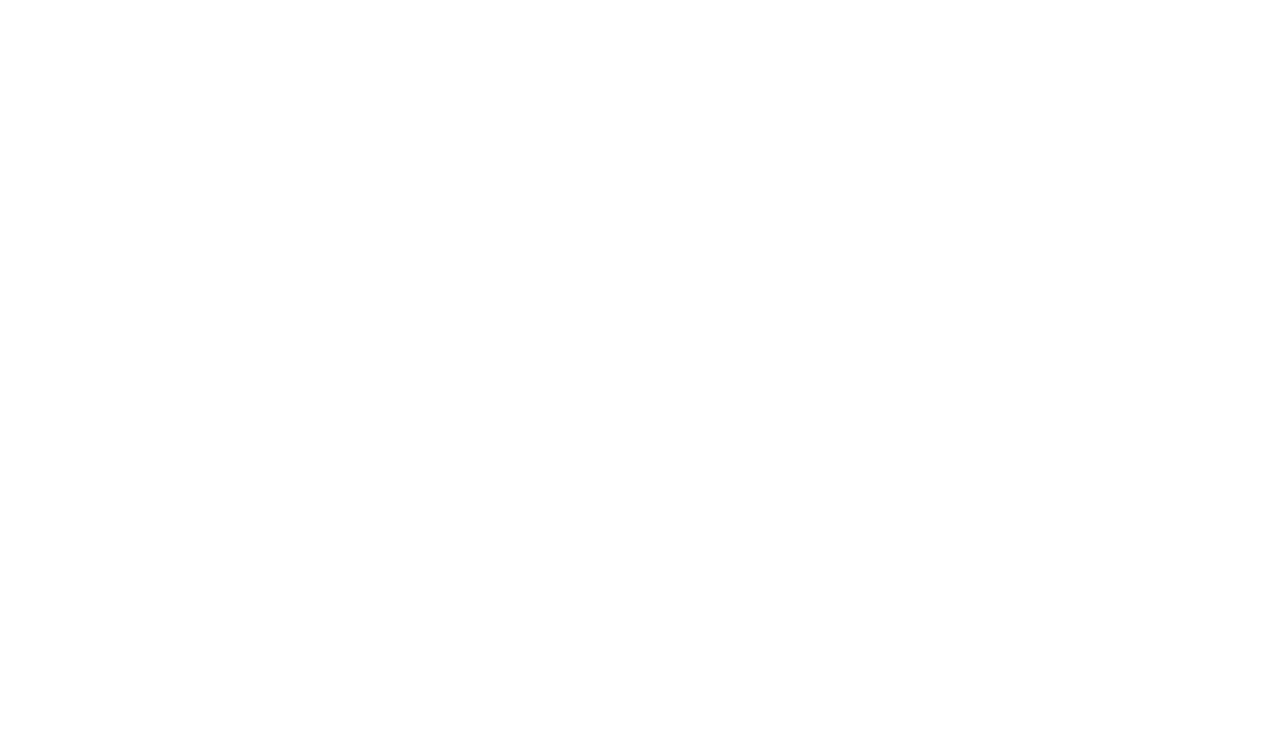 LOGO FUNDACIÓN RBS blanco
