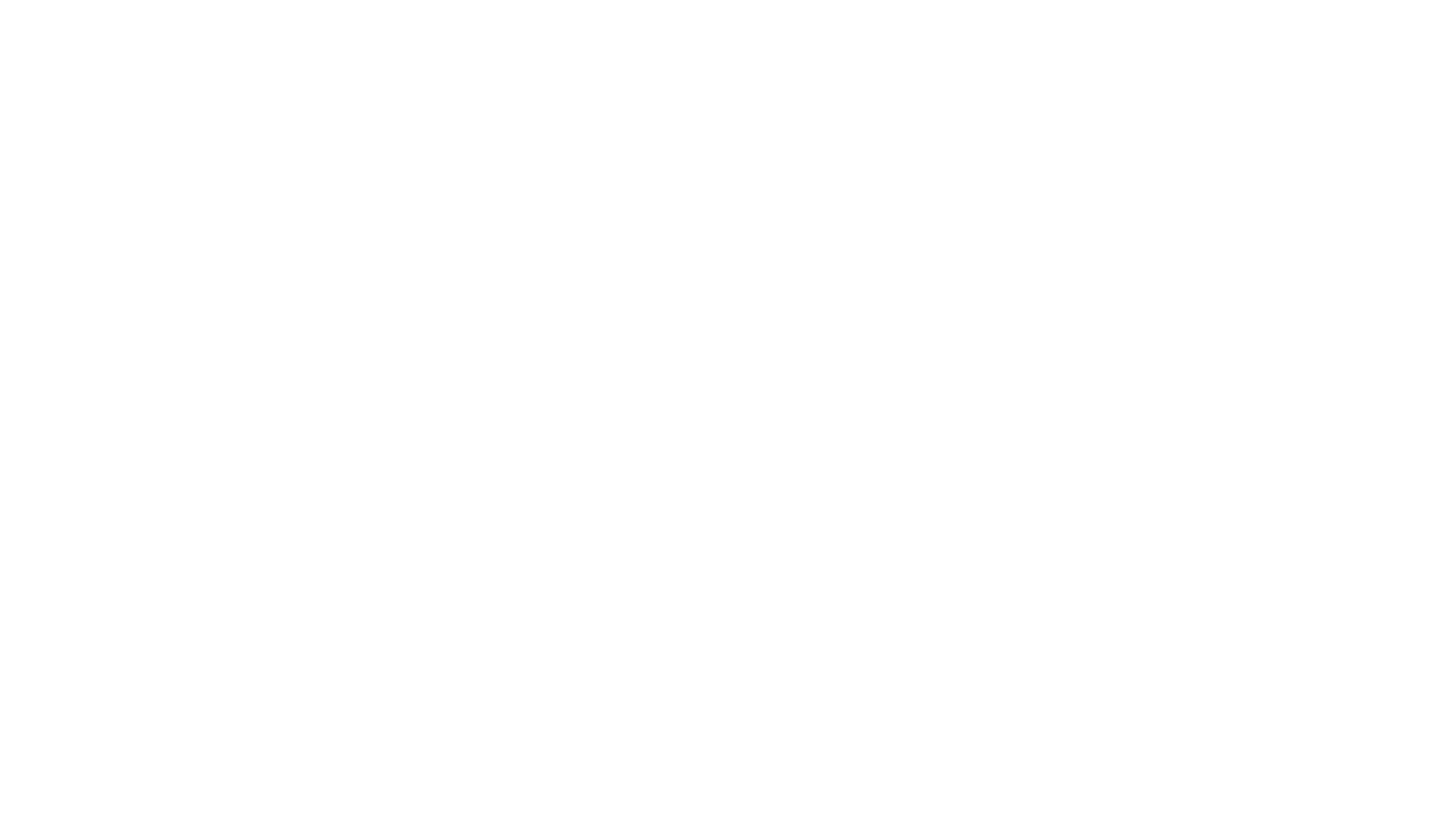 LOGO THE BOOST BLANCO